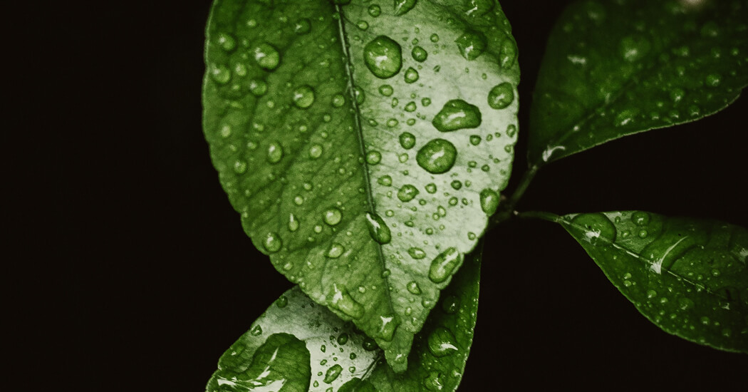 Изображение о нас